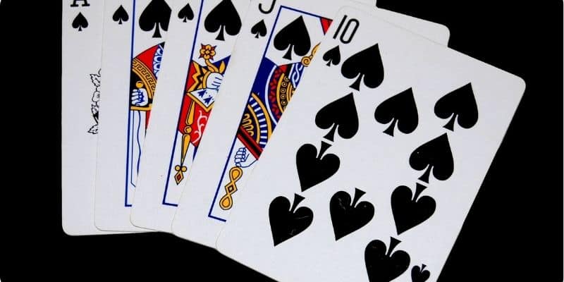 Tìm hiểu câu trả lời 5 đôi thông có chặt được 3 heo không