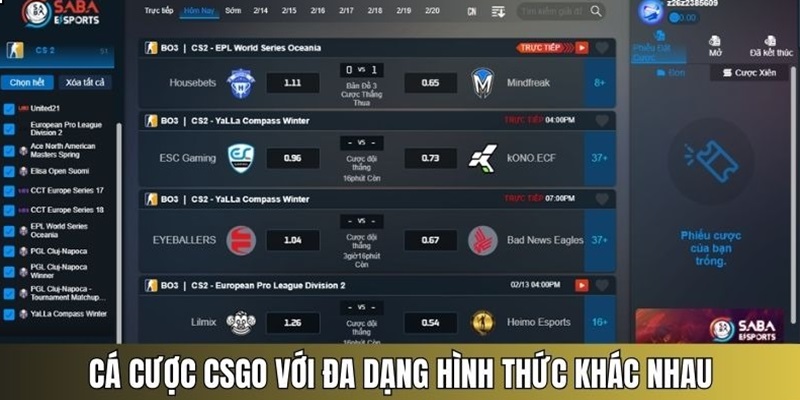 Cá cược CSGO đa dạng cùng nhiều hình thức phổ biến
